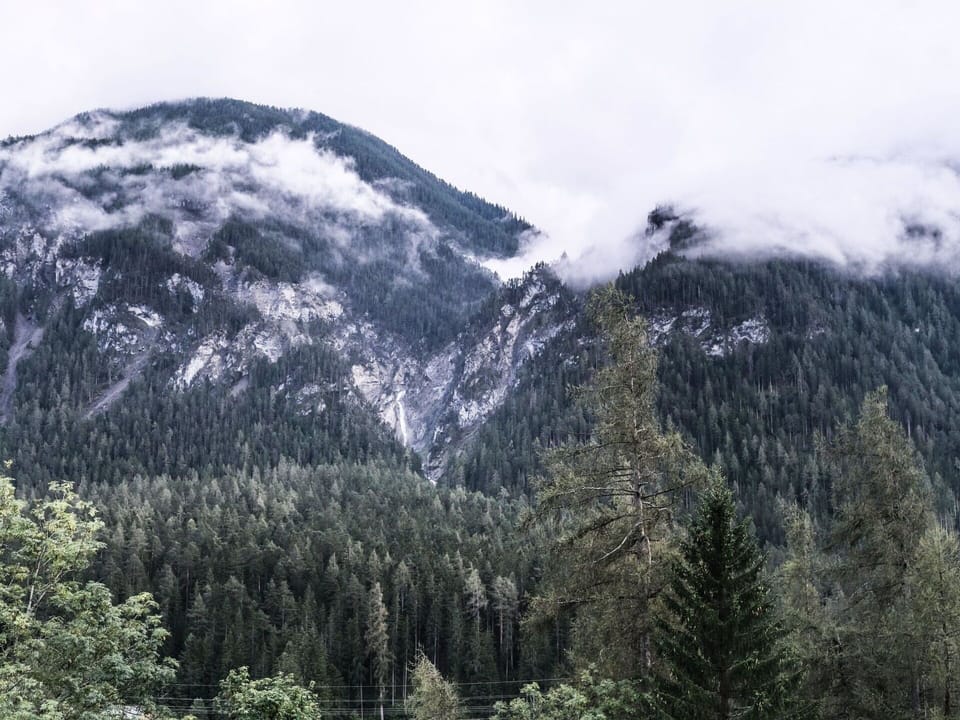 Plant, Cloud, Plant Community, Mountain, Sky, Natural Landscape, Snow, Tree, Slope, Larch