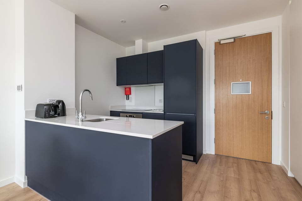 Deluxe Apartment, Balcony | Private kitchen | Full-size fridge, oven, stovetop, dishwasher