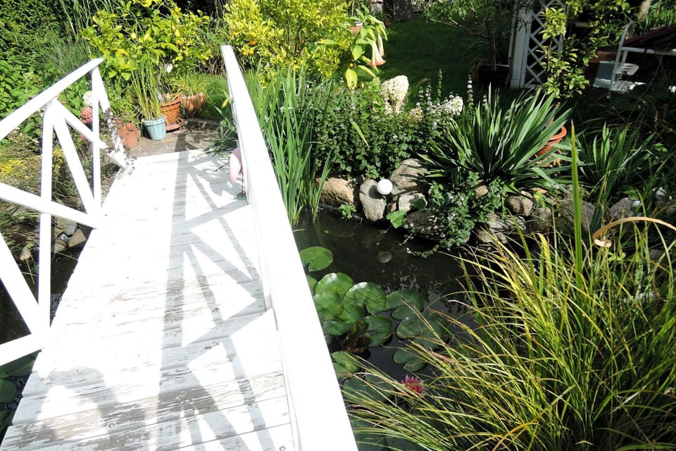 Garden [summer]