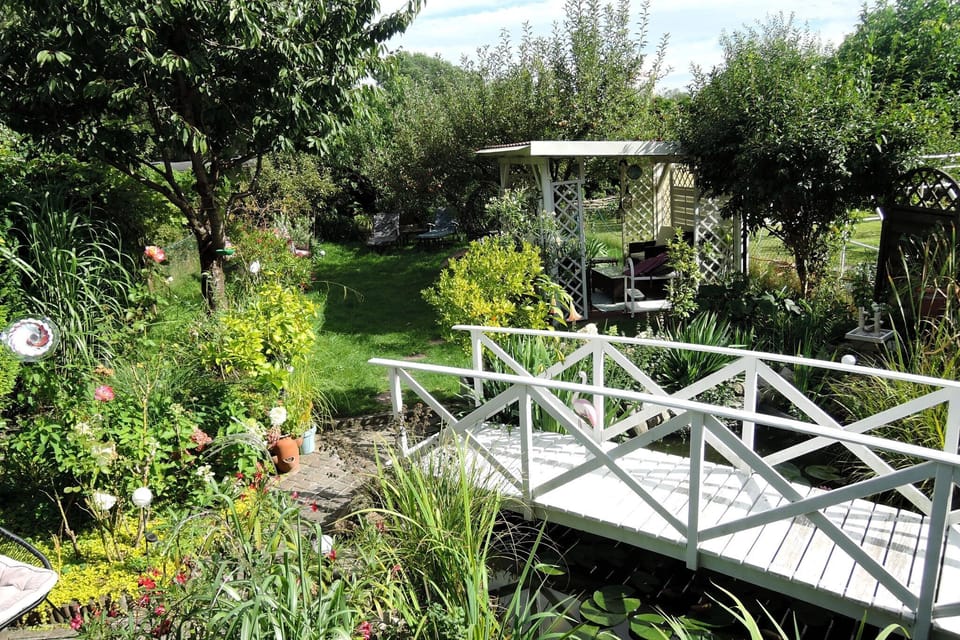 Garden [summer]
