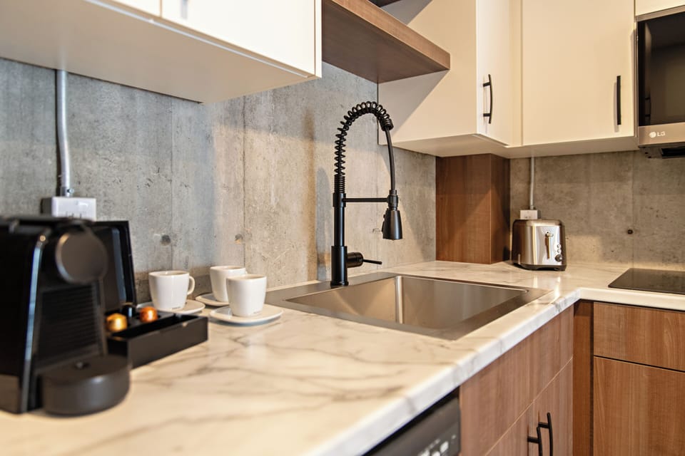 Full-size fridge, microwave, stovetop, dishwasher