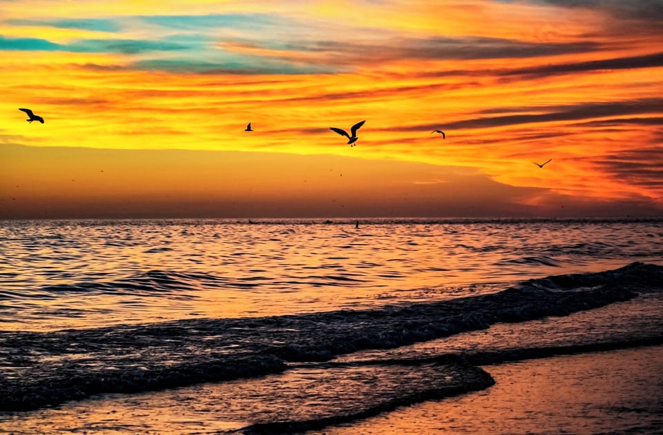 Sunsets so beautiful they look like a painting.