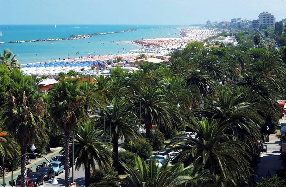 Lungomare delle palme
