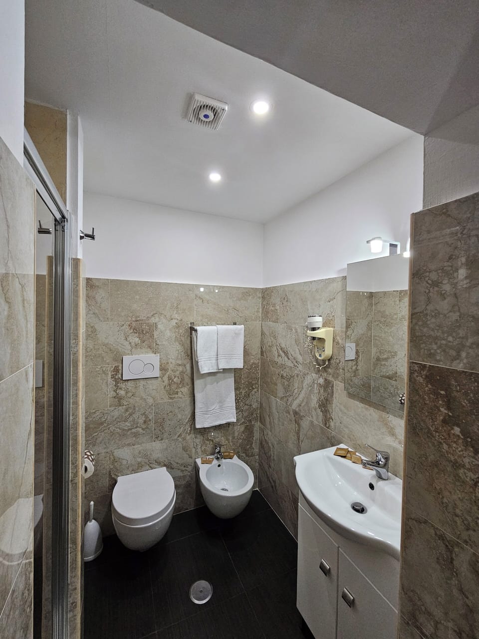 Shower, hair dryer, bidet, towels