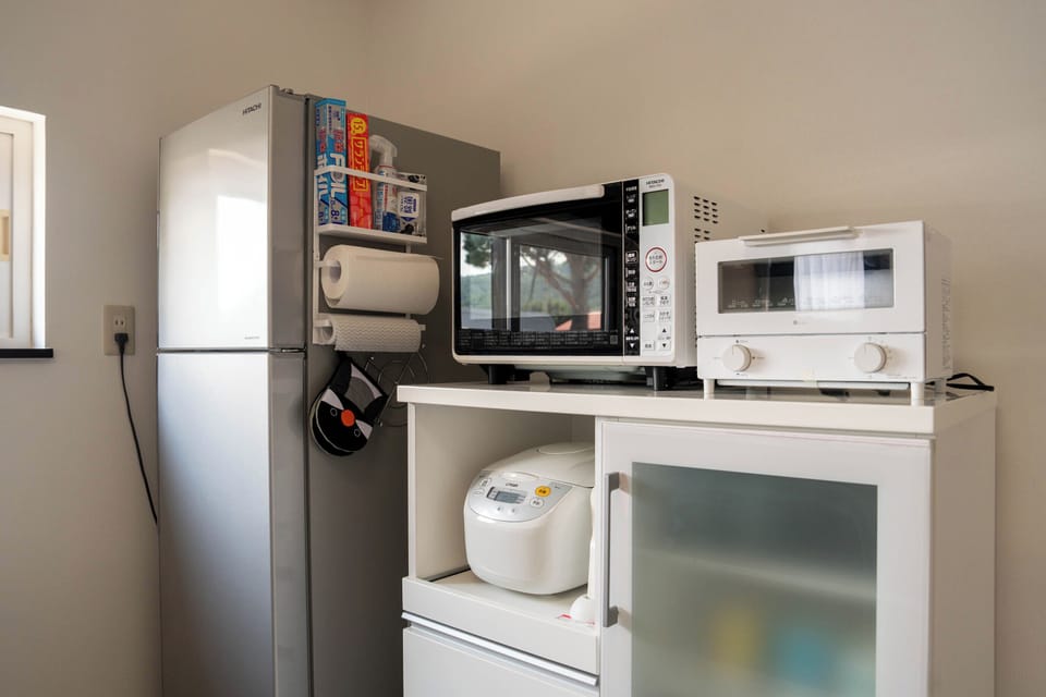 Fridge, microwave, stovetop, electric kettle