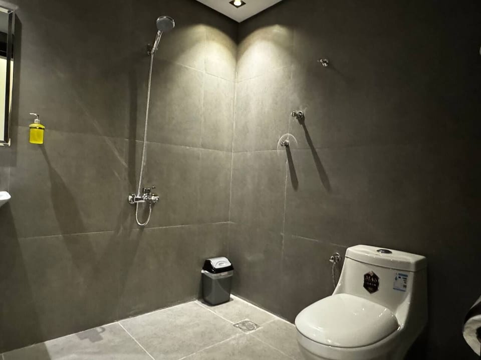 Shower, hair dryer, slippers, bidet