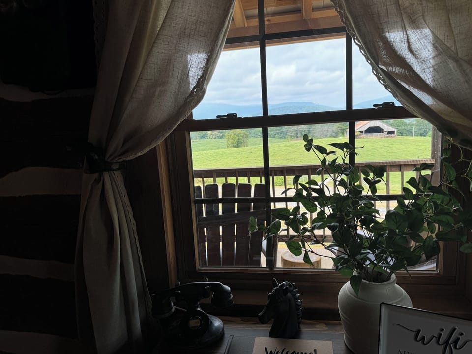 view from the living room