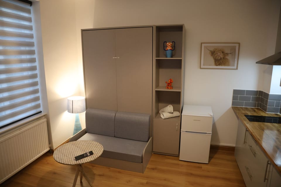 Deluxe Studio | Living area | Flat-screen TV