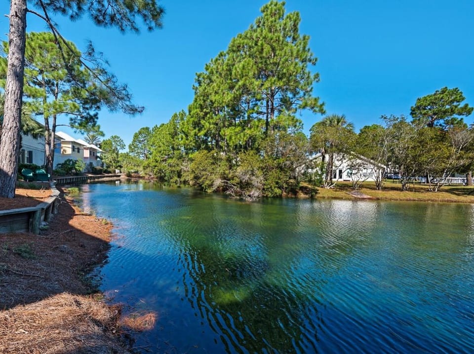 Go fishing in the community pond