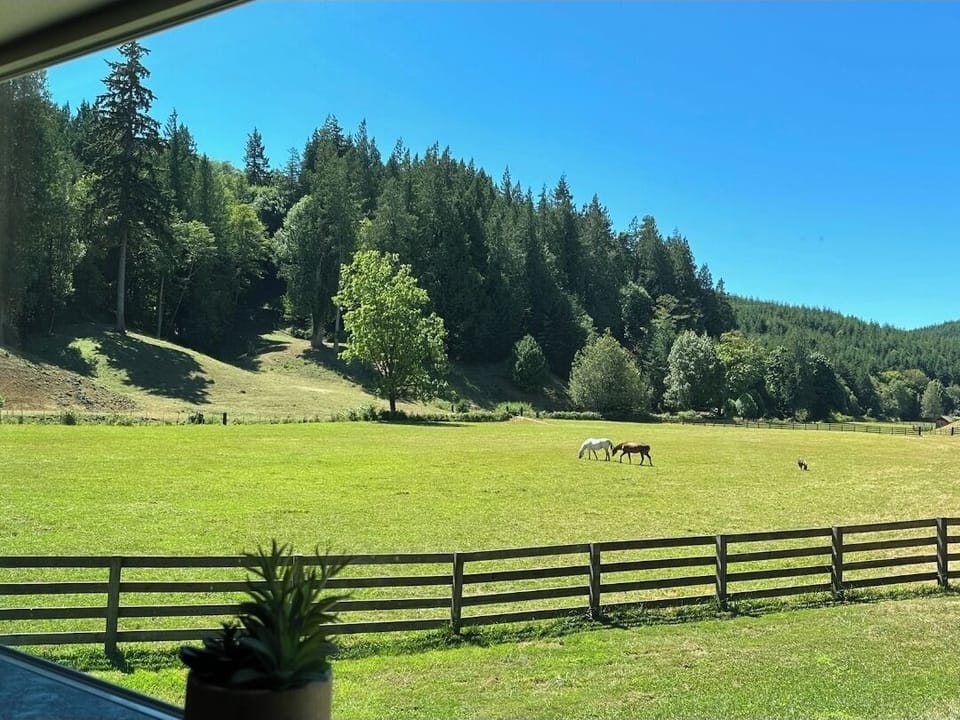 View from property