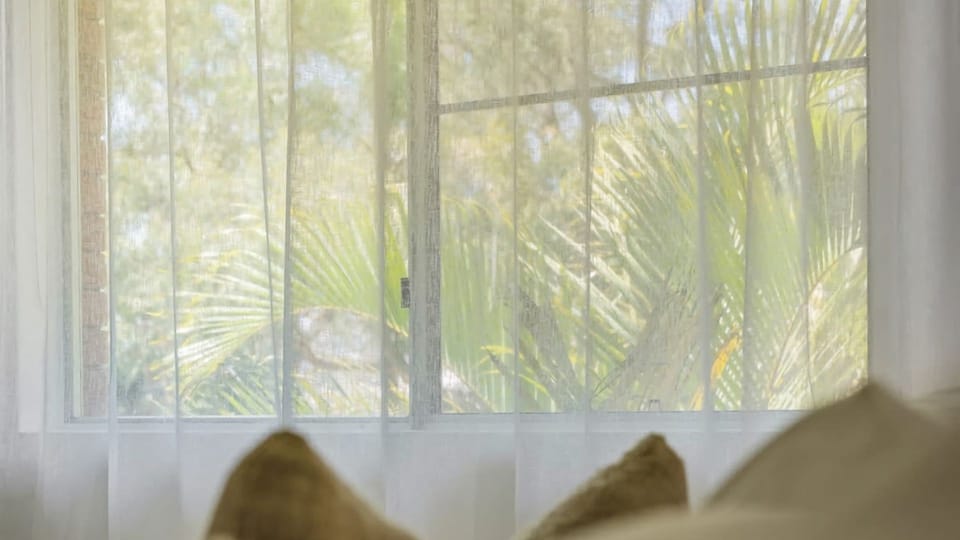 Window that allows natural light