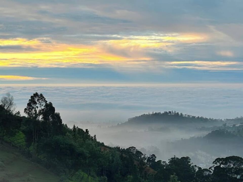 Mountain view
