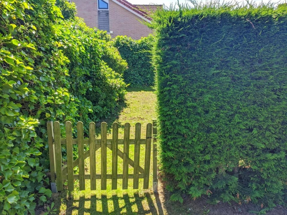 House | Garden