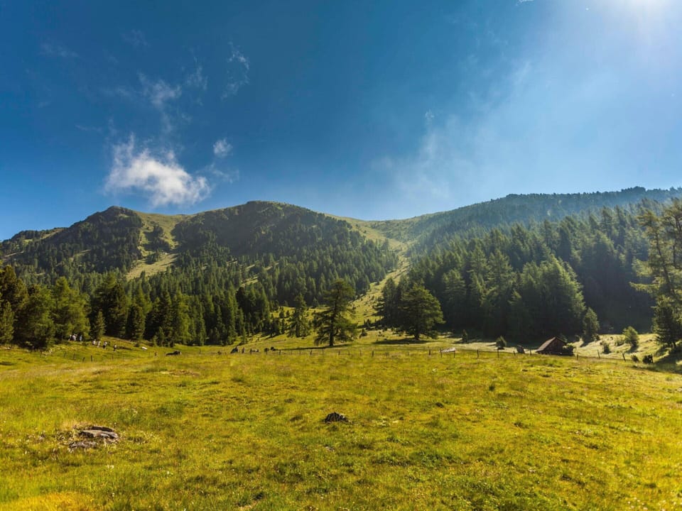 Chalet | View from property