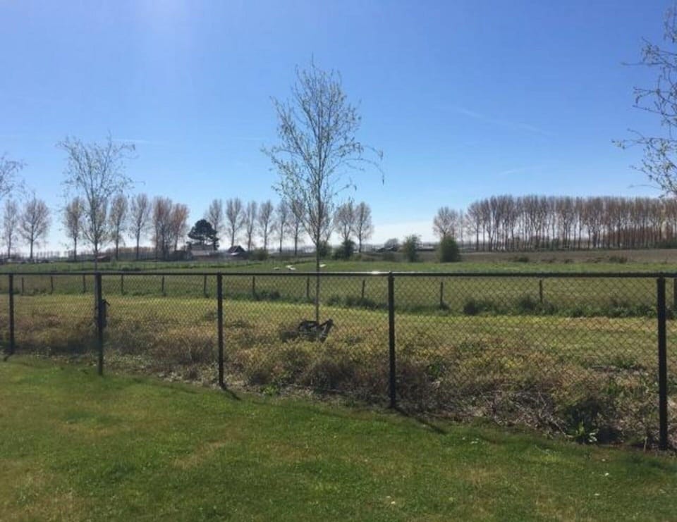 House | Garden