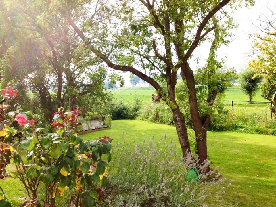 House | Garden