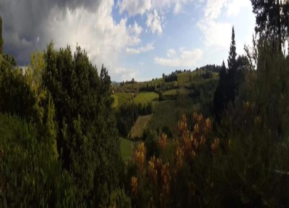 House | View from property