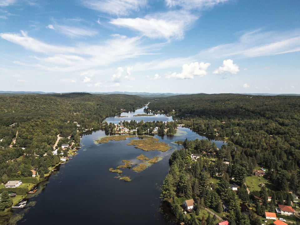 Endless forest and pristine water as far as the eye can see