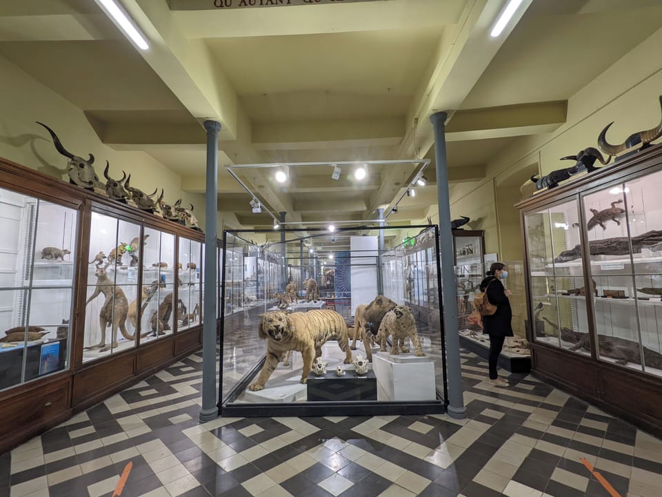 Children's activities