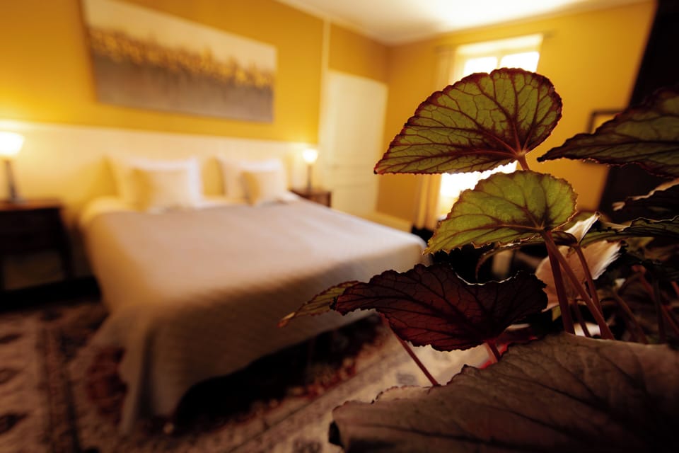 Comfort Double Room, Garden View | Egyptian cotton sheets, premium bedding, WiFi (free), bed sheets