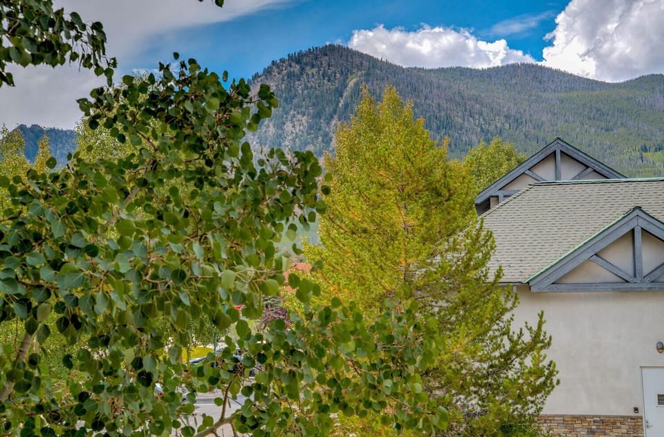 Mountain Views