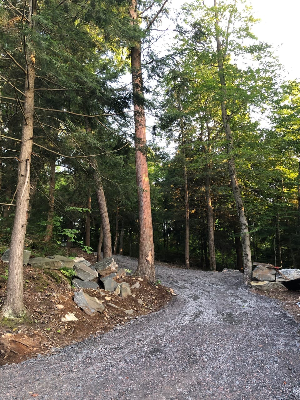 Driveway down to lake