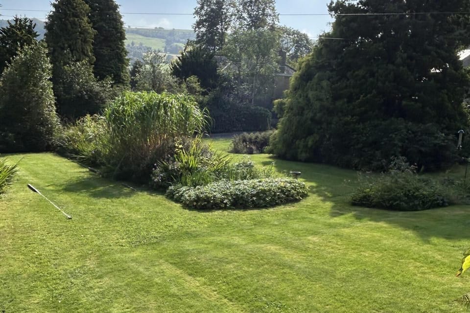 Image 15