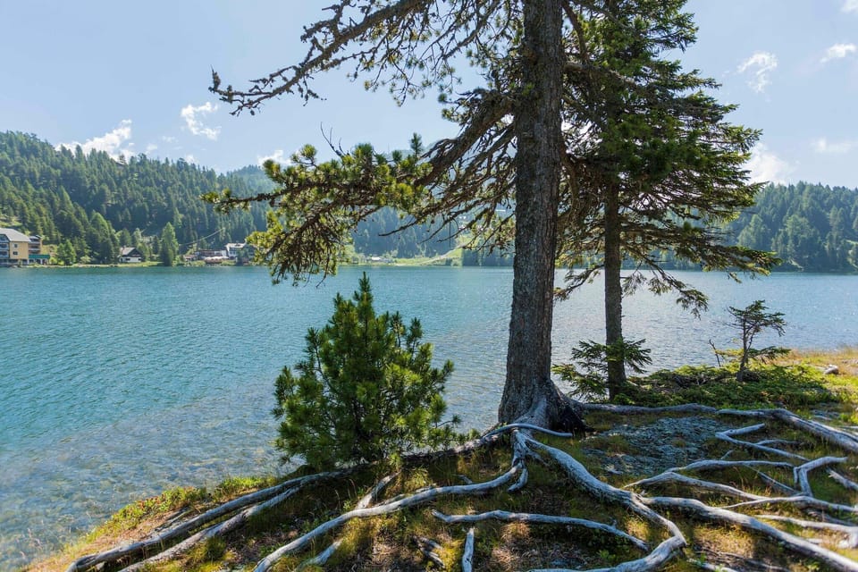 Surroundings [summer] (1-5 km)