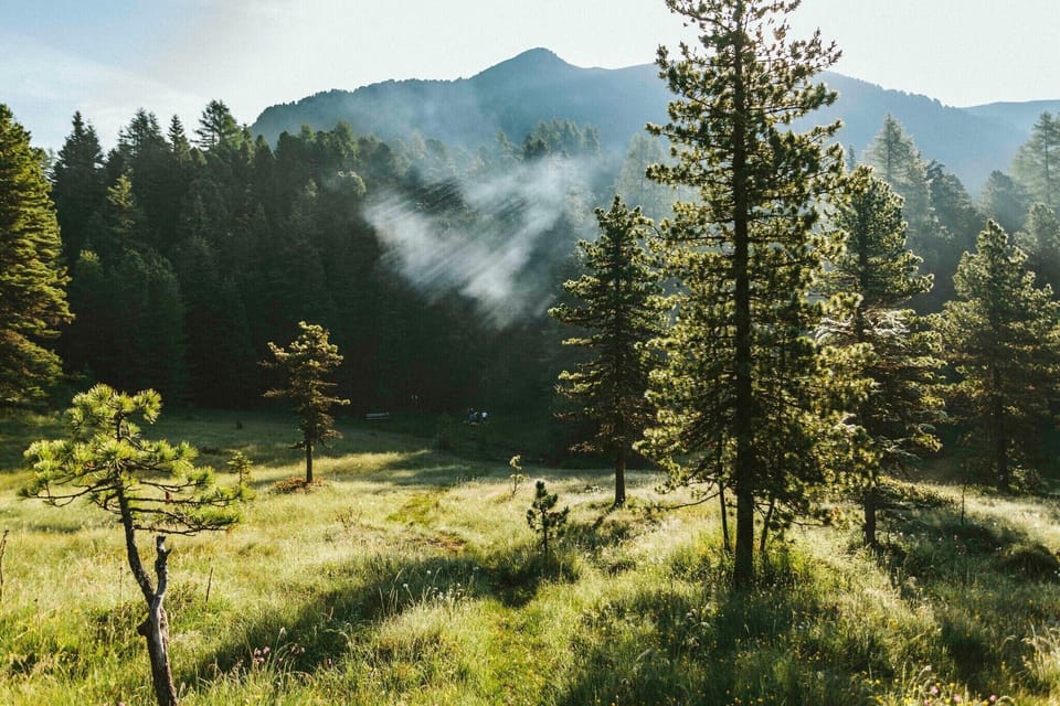 Surroundings [summer] (1-5 km)