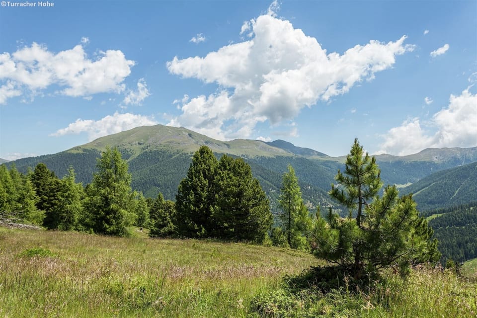 Region [summer] (>5 km)