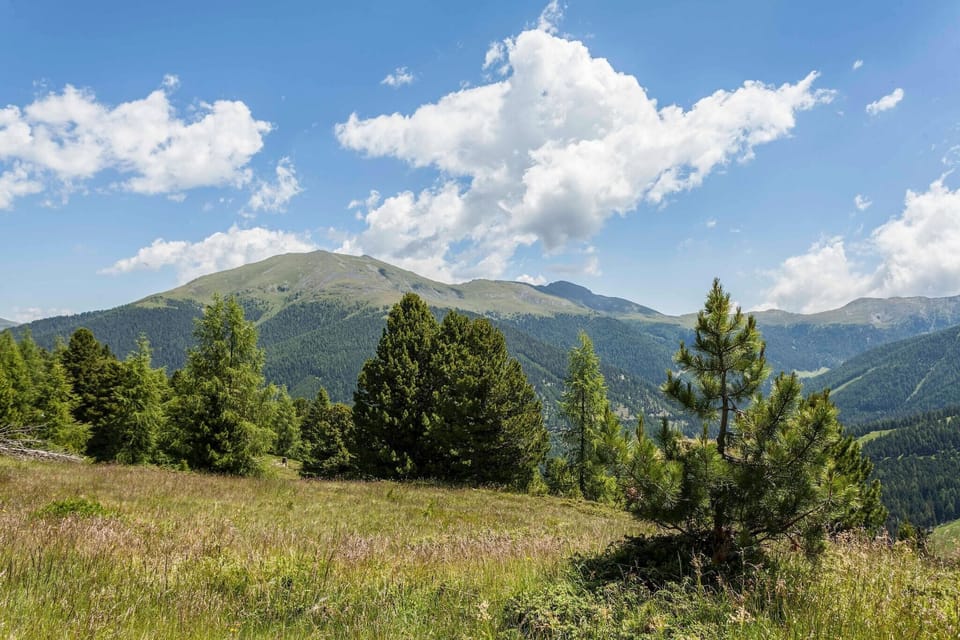 Surroundings [summer] (1-5 km)