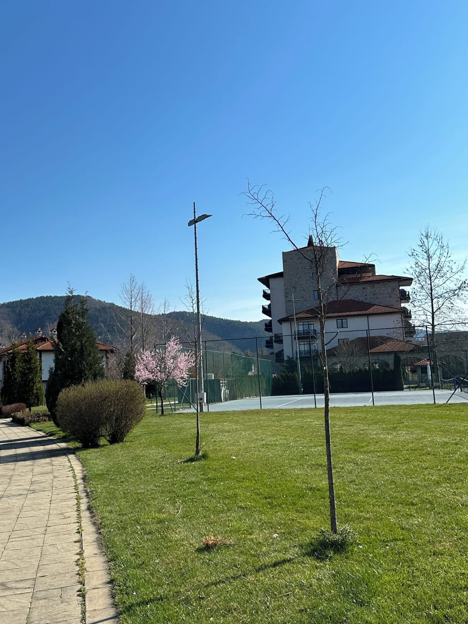 Sport court