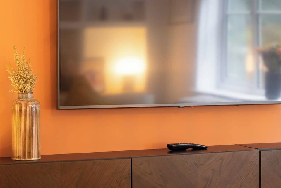 Television