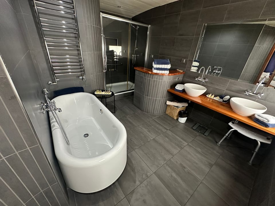 Premium Suite | Bathroom | Free toiletries, hair dryer, bathrobes, towels