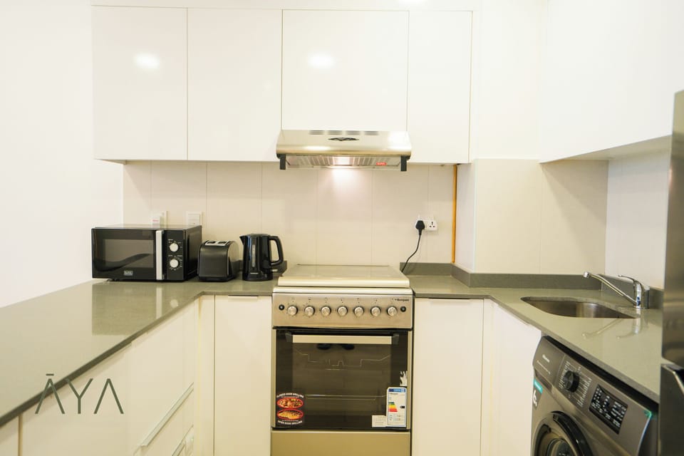 Deluxe Apartment, Balcony, City View | Private kitchen | Fridge, microwave, oven, stovetop