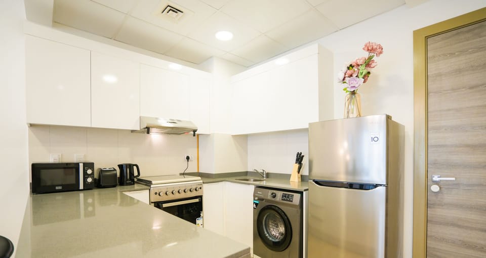 Deluxe Apartment, Balcony, City View | Private kitchen | Fridge, microwave, oven, stovetop