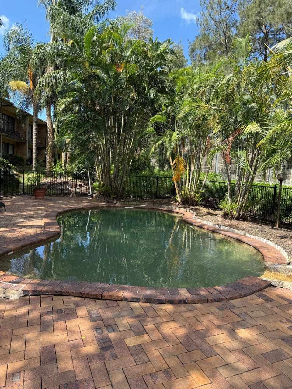 Small pool to beat the heat!