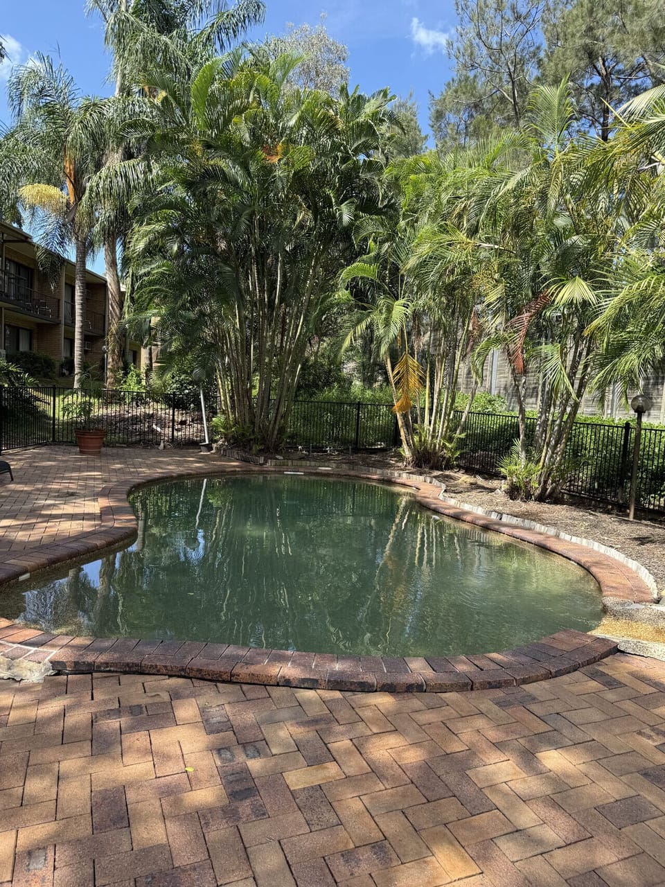 Small pool to beat the heat!