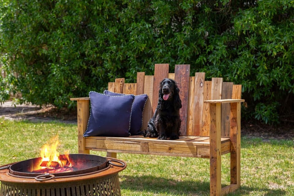 🐶 An outdoor firepit and seating for an evening wine or marshmallow toasting with the family!