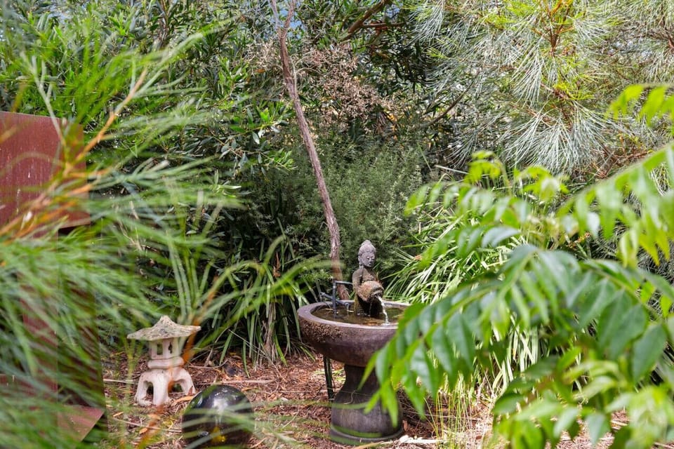 🌳 So many hidden treasures and quirks around the property which will provide enjoyment through