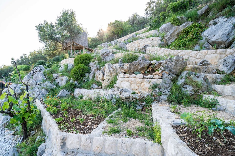 Garden [summer]