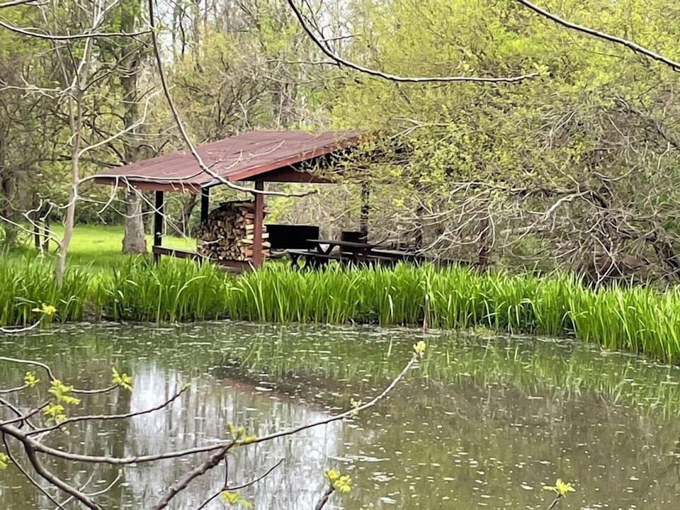 Pond and Picnic Shelter