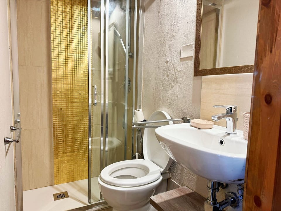 Classic Double Room | Bathroom | Shower, free toiletries, hair dryer, towels