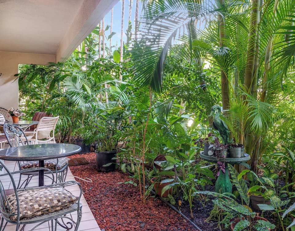 Castle at Maui Banyan T108A - Hotel Room Garden View - Lanai