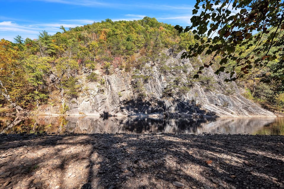 Vegetation, Nature, Outdoors, Tree, Land
