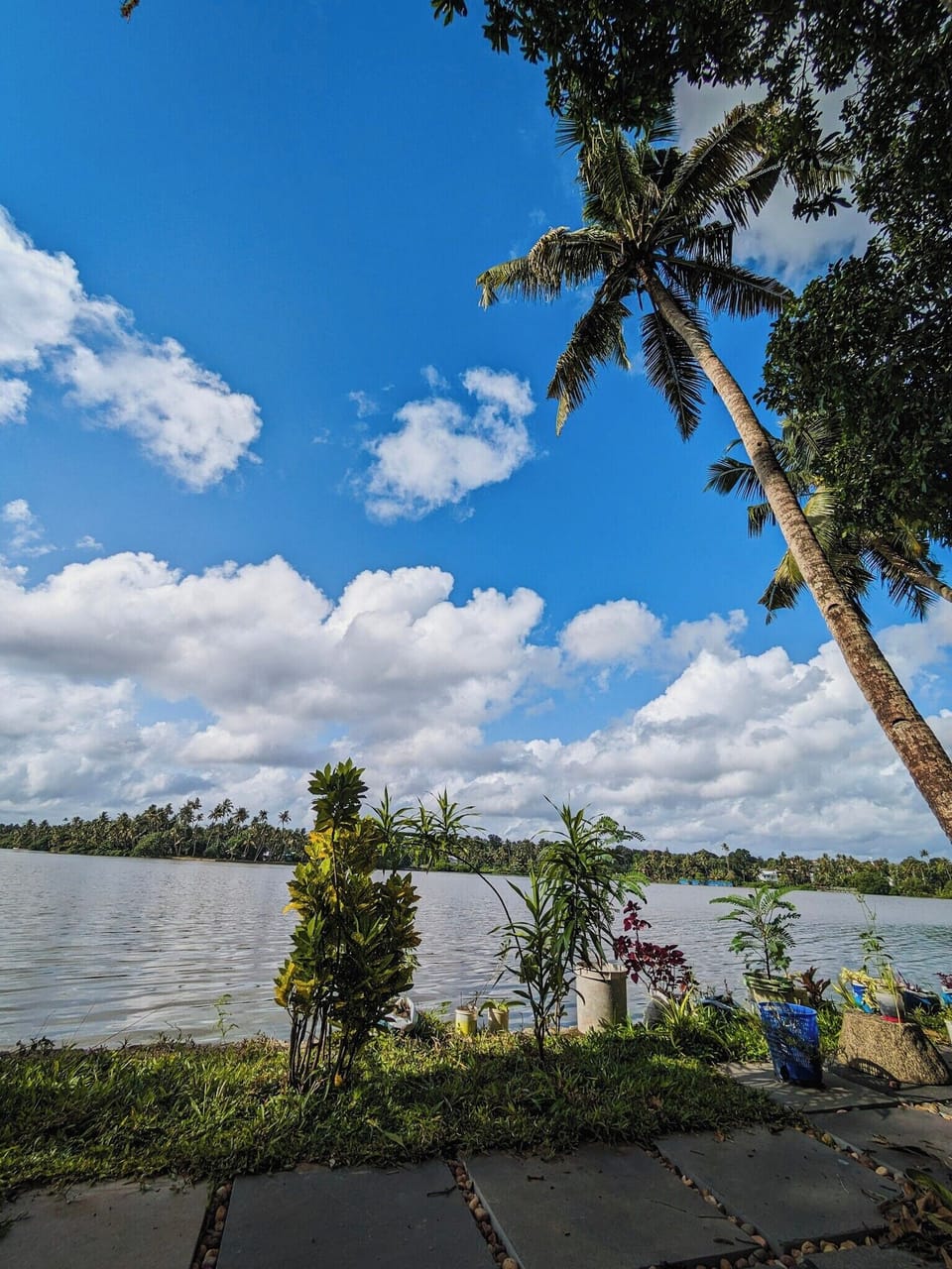 Lake view from the patio