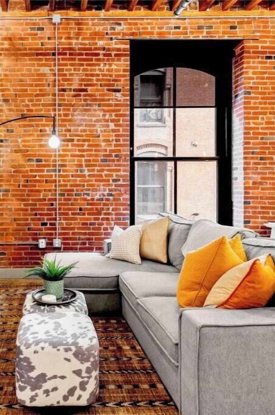 Living room with sleeper sofa