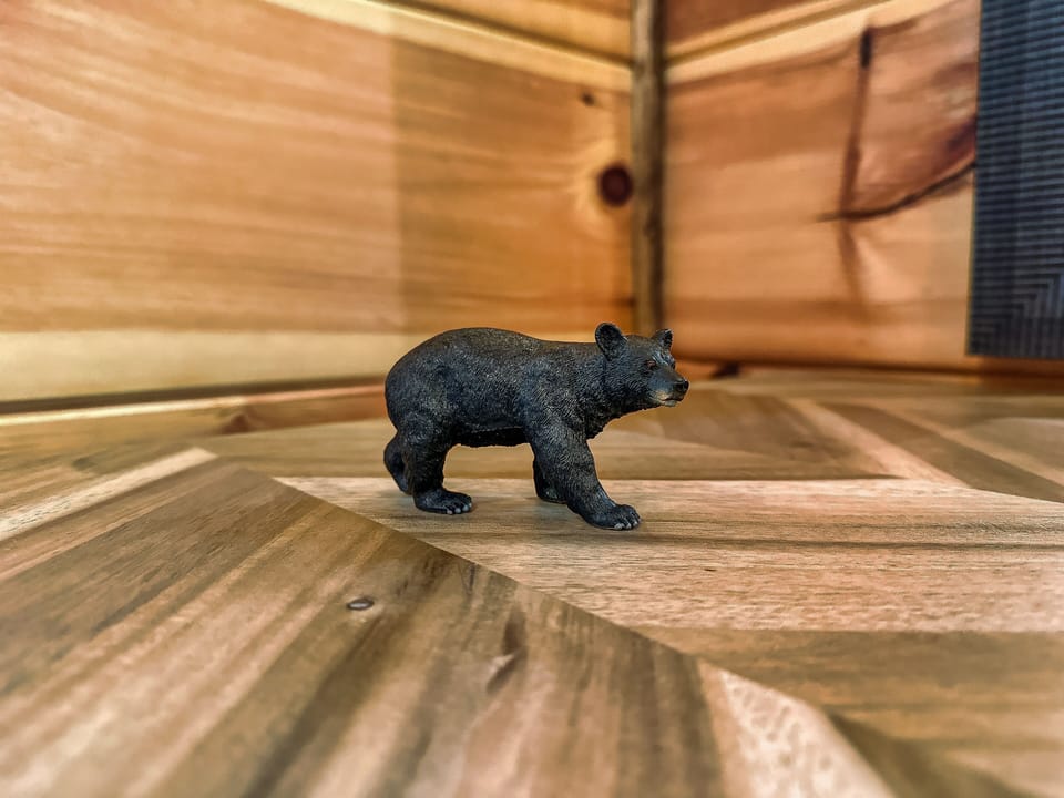 The only bear in the cabin that our guest can try to find.......If they can.......