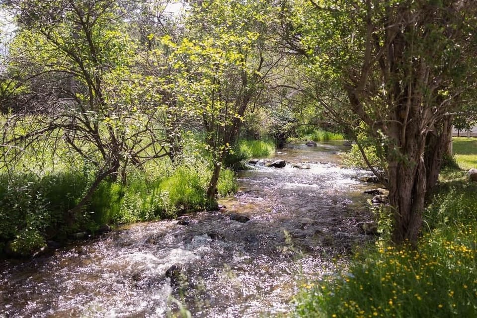 Creek