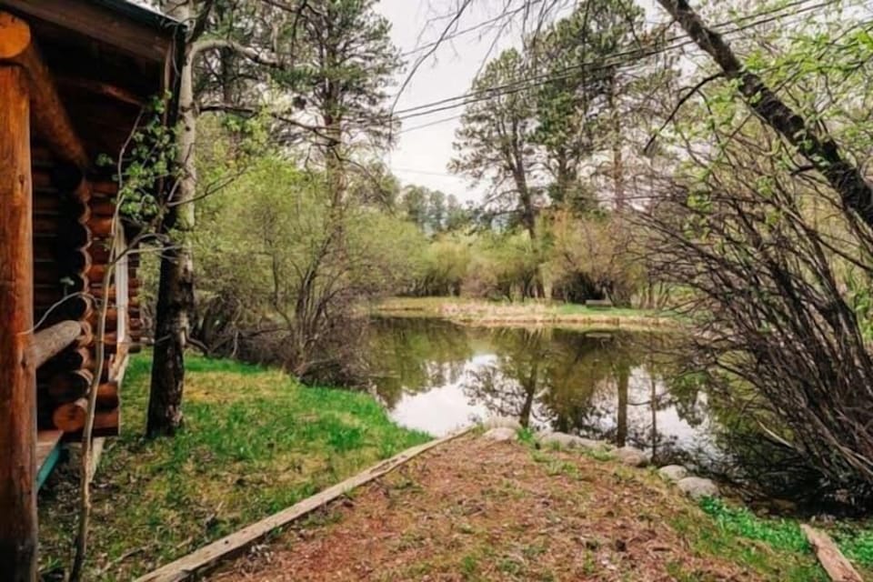 Fishing pond (2)